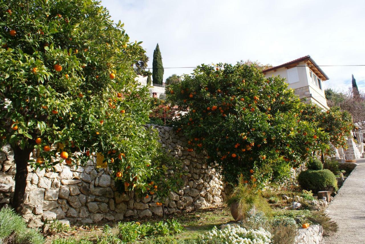 Appartement Three Oranges à Trsteno Extérieur photo