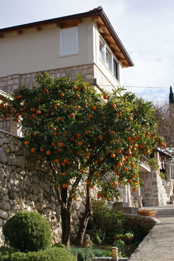 Appartement Three Oranges à Trsteno Extérieur photo