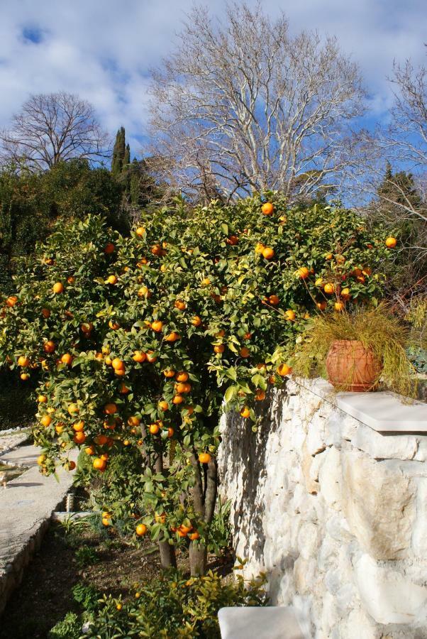 Appartement Three Oranges à Trsteno Extérieur photo